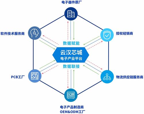 云汉芯城 驱动上海互联网数据服务创新，赋能电子产业数字化转型