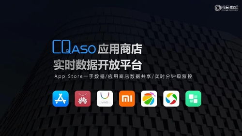 黄炳川龙与闯奇数据 以数据智能驱动上海互联网产品增长新引擎